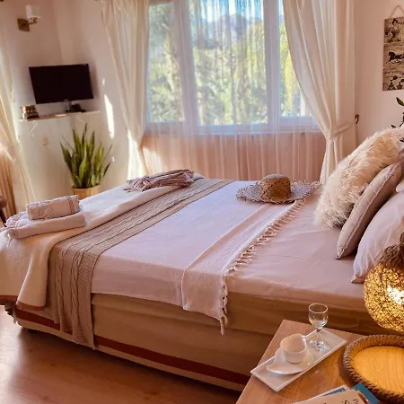 Accommodatie bij particulieren Oase Garden
