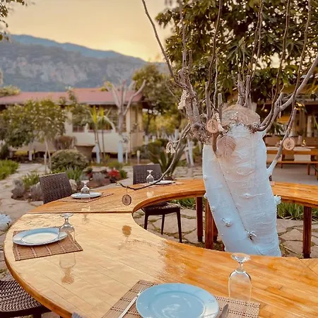 Oase Garden * Çıralı